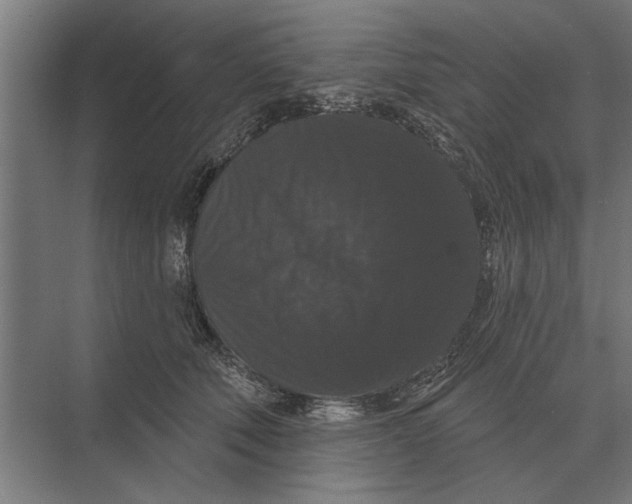 X0000074010610200609181836