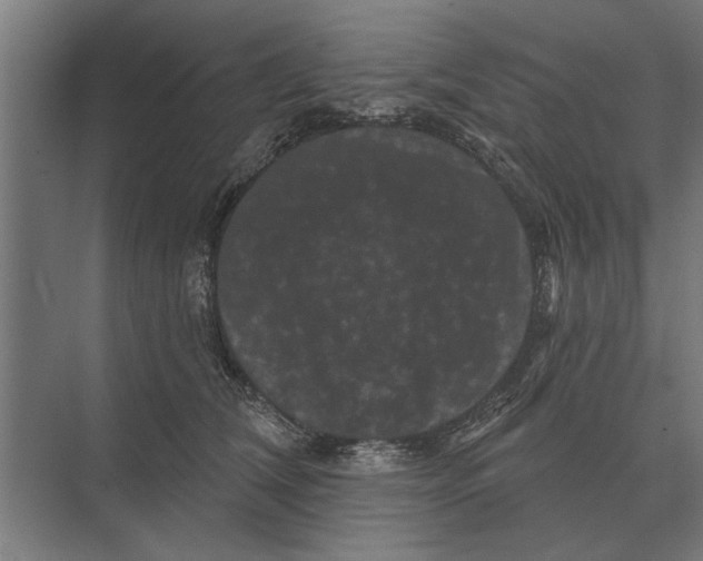 X0000074010612200609181836