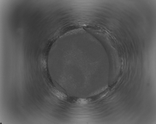 X0000074010613200609181836