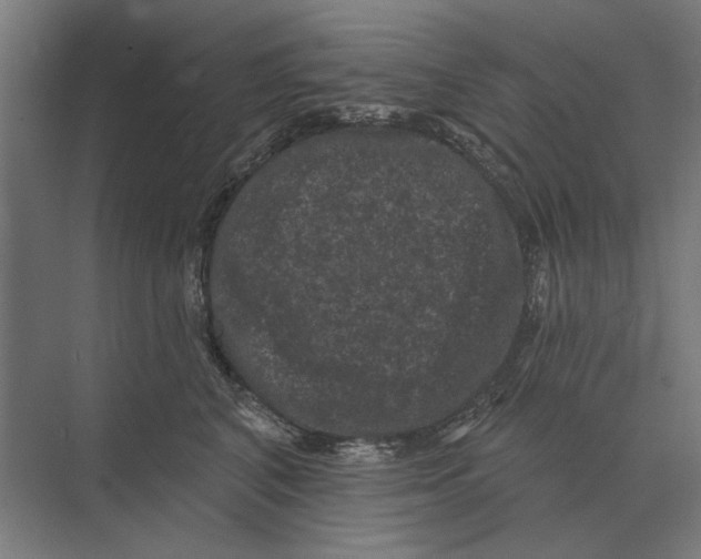 X0000074010616200609181836