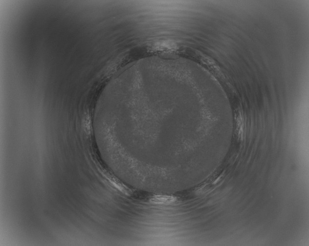 X0000074010617200609181836