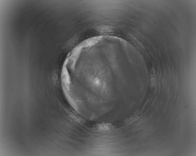 X0000074010618200609181836