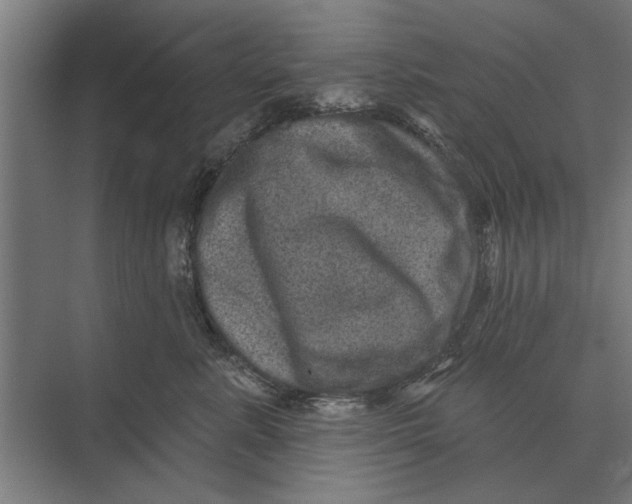 X0000074010619200609181836