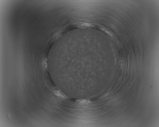 X0000074010621200609181836