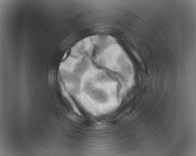 X0000074010623200609181836