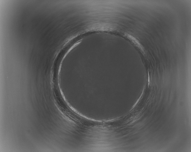 X0000074010627200609181835