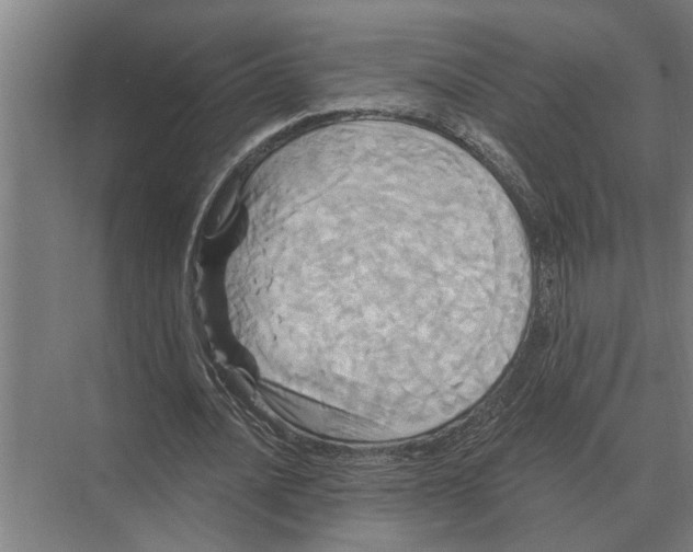 X0000074010628200609181835