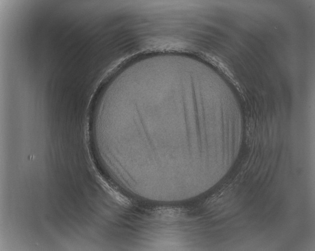 X0000074010629200609181835