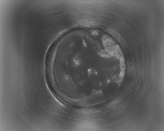 X0000074010630200609181835