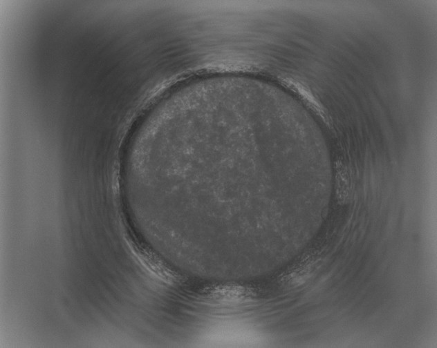 X0000074010631200609181835