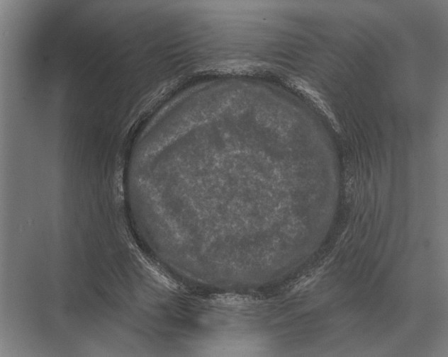 X0000074010633200609181835