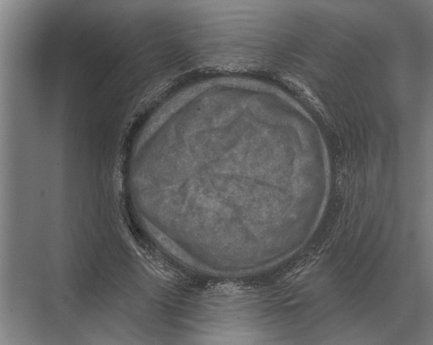 X0000074010635200609181835