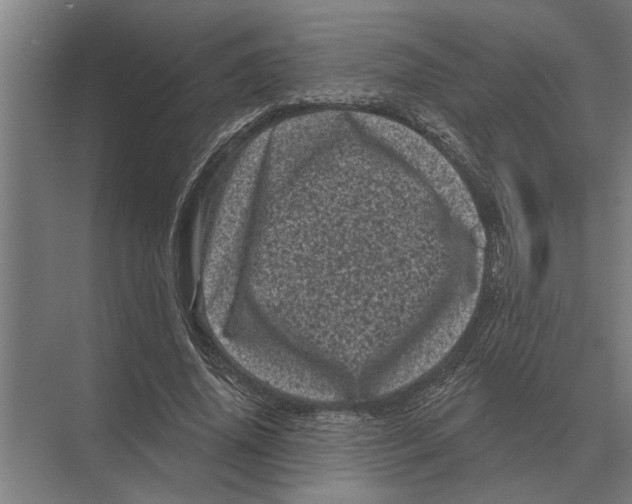 X0000074010636200609181835