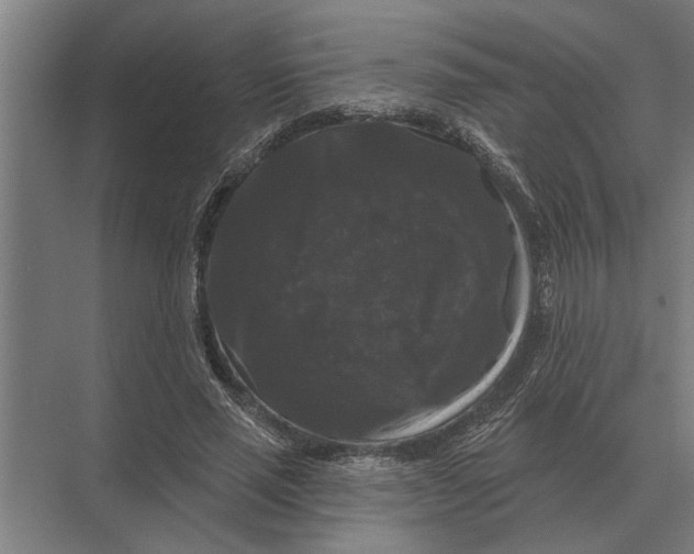 X0000074010637200609181835