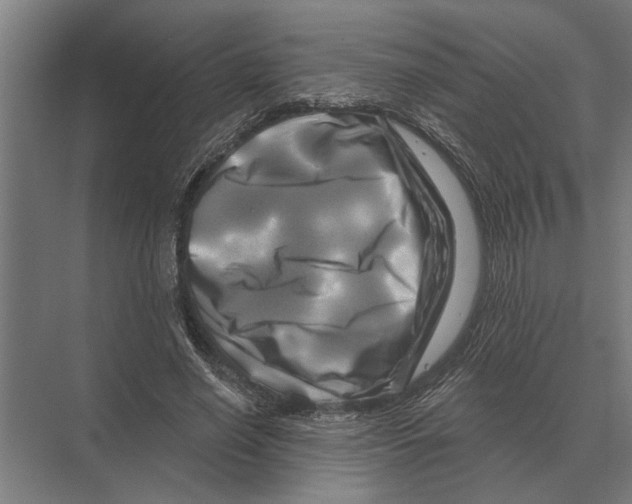 X0000074010638200609181835