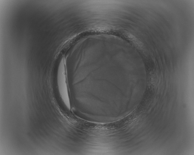 X0000074010640200609181835