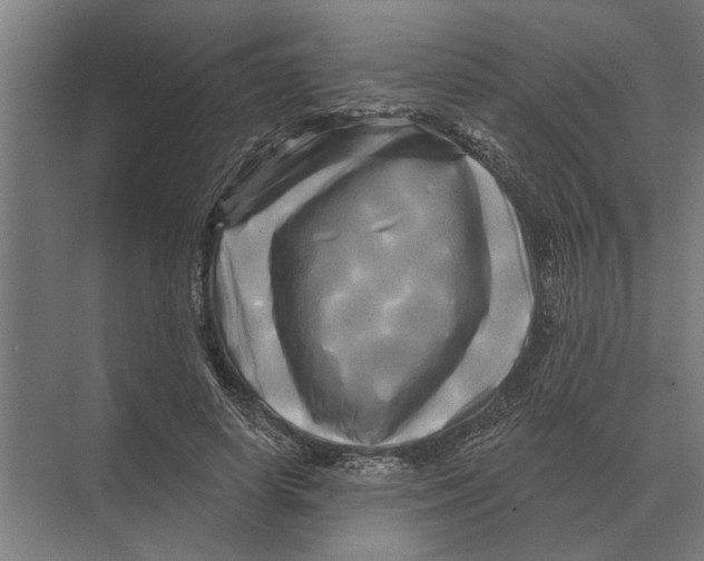 X0000074010642200609181835