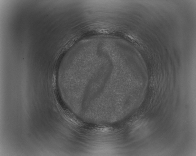 X0000074010646200609181835