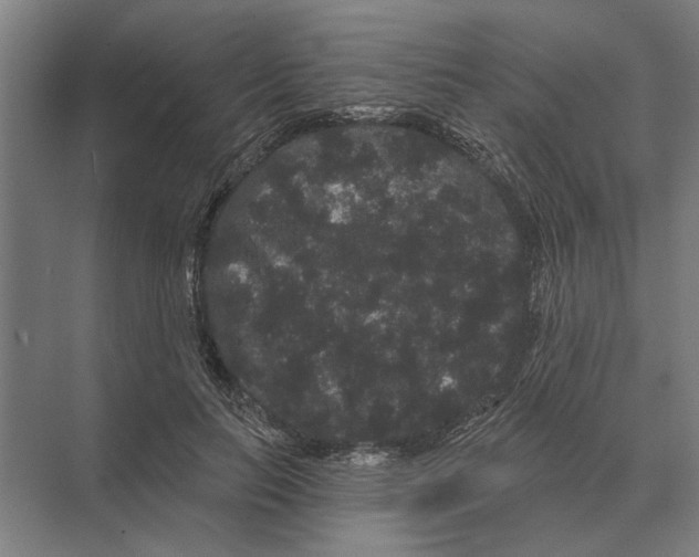 X0000074010647200609181835