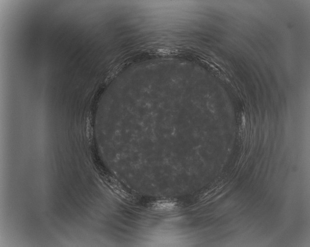 X0000074010651200609181835