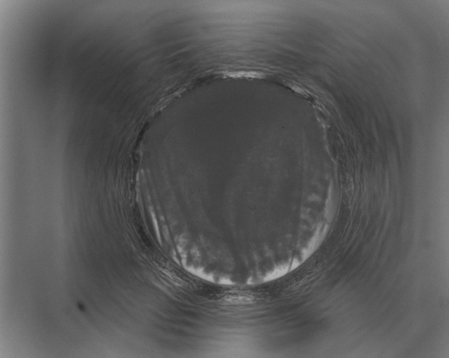 X0000074010653200609181835