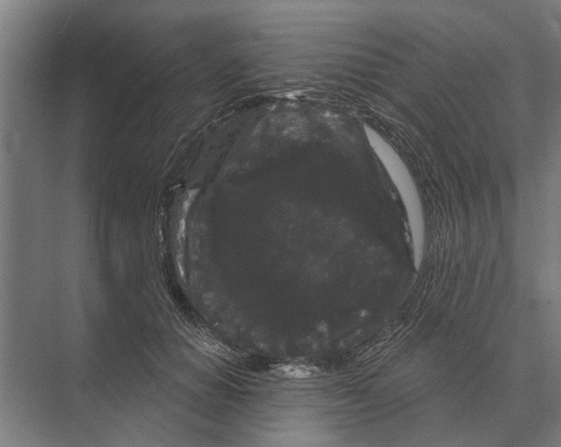 X0000074010654200609181835