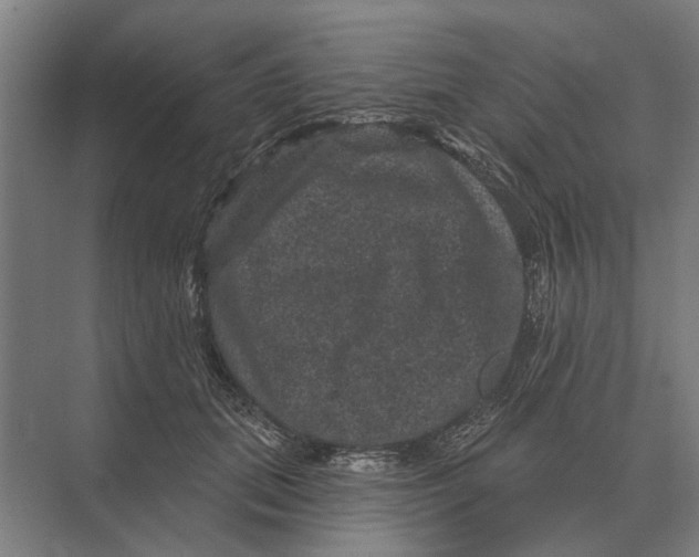 X0000074010655200609181835