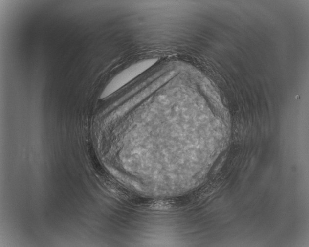 X0000074010656200609181835