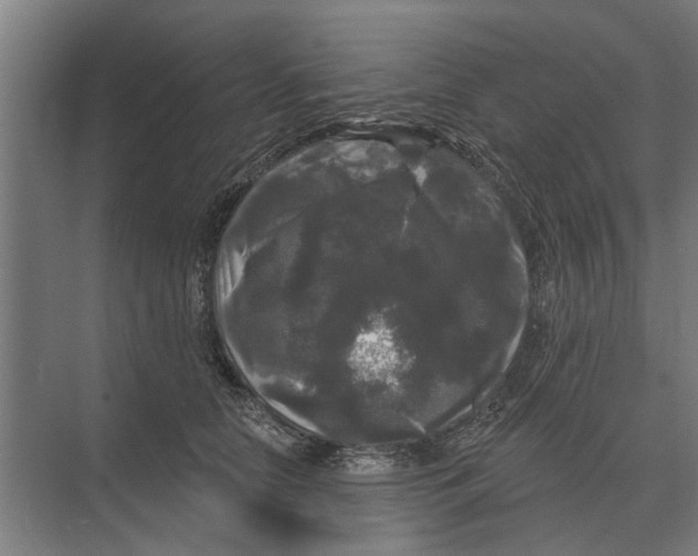 X0000074010658200609181835