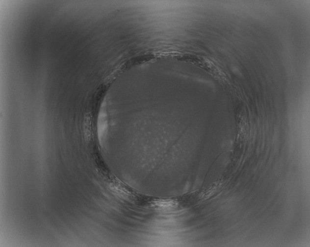 X0000074010659200609181835