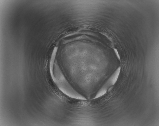 X0000074010660200609181835