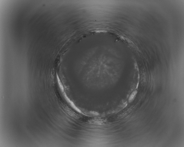 X0000074010661200609181835