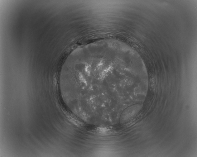 X0000074010662200609181835