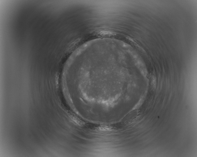 X0000074010668200609181836