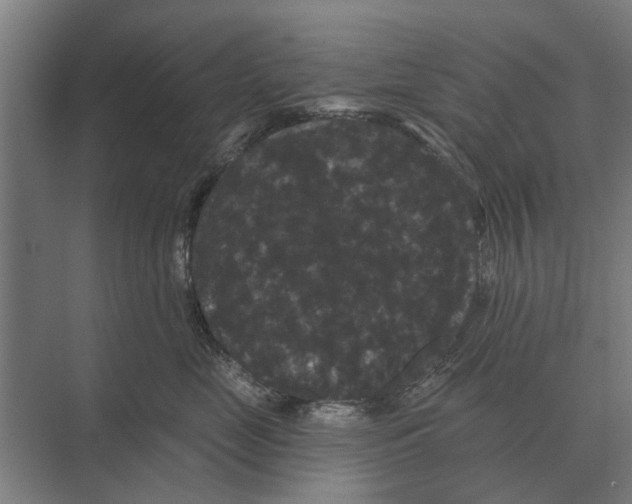 X0000074010669200609181836