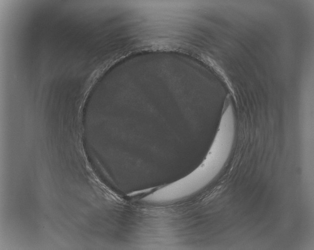 X0000074010673200609181835