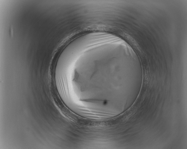 X0000074010674200609181835