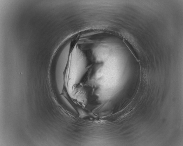 X0000074010676200609181835