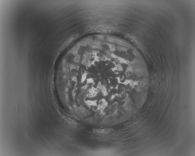 X0000074010679200609181835