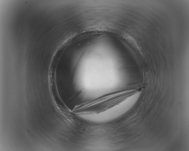 X0000074010680200609181835