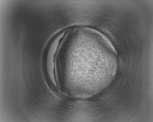 X0000074010684200609181835