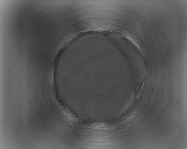 X0000074010685200609181835