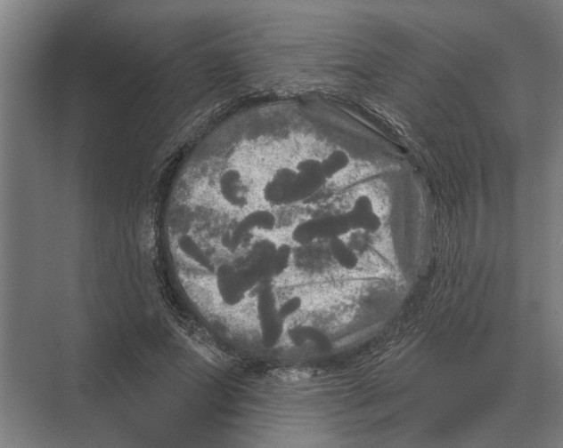 X0000074010687200609181835