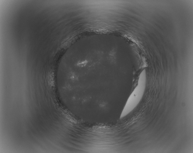 X0000074010689200609181835