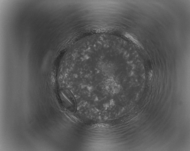 X0000074010691200609181835