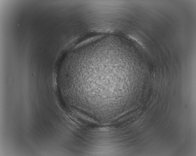 X0000074010692200609181835