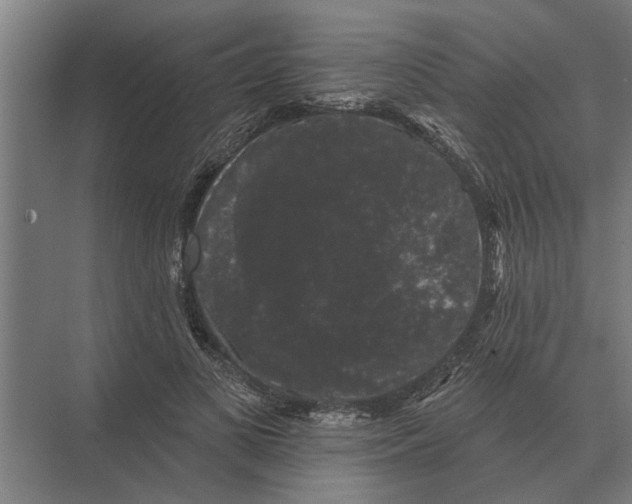 X0000074010693200609181834