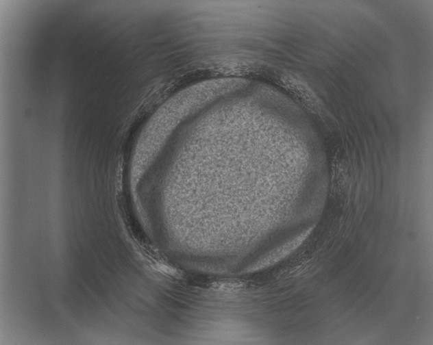 X0000074010694200609181834