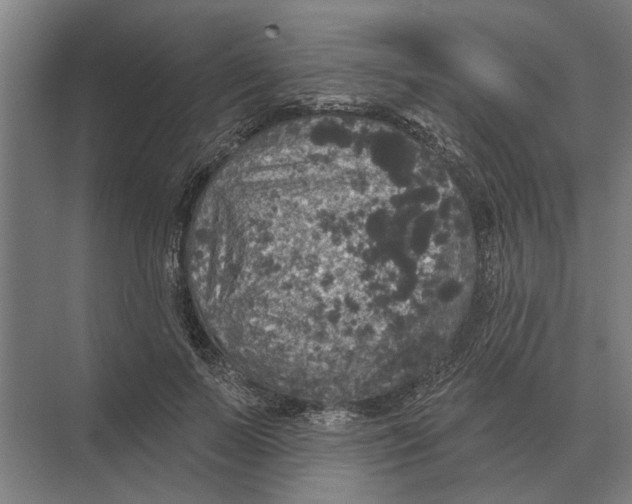 X0000074010695200609181834