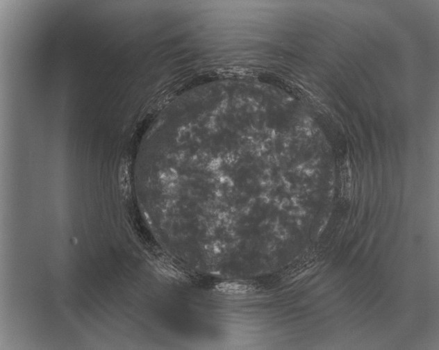 X0000074010699200609181834